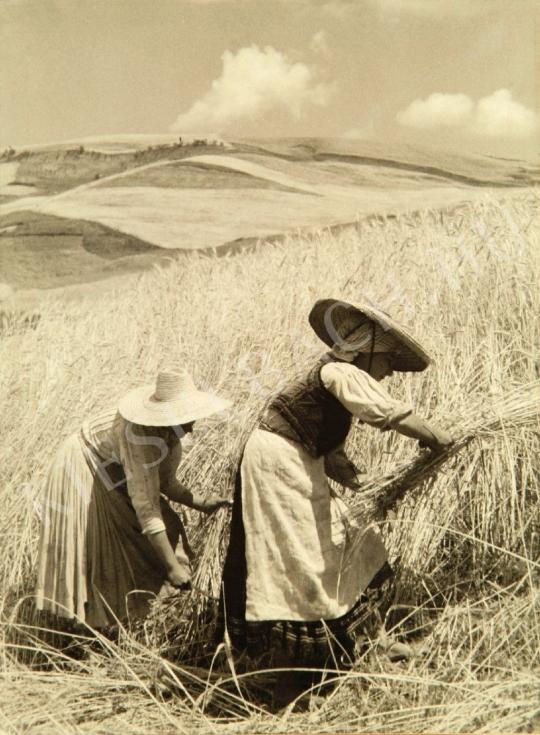 Tokaji András - Aratás, 1937 | Fotóaukció 2008 aukció / 81 tétel