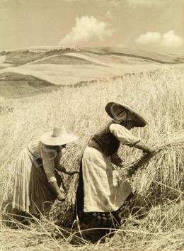 Tokaji András - Aratás, 1937 