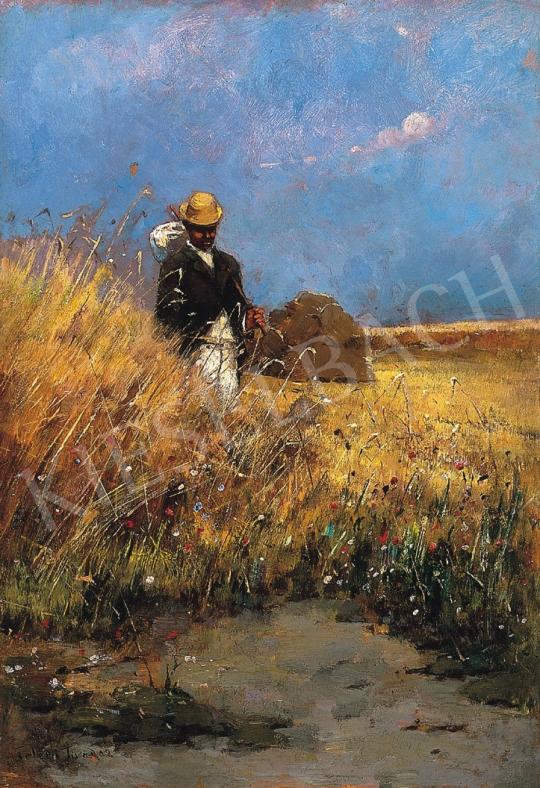 Feledy, Tivadar - Field with poppies | 17th Auction auction / 122 Lot