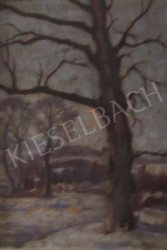  Méder, Ilona - Winter Landscape painting