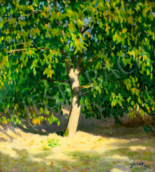 Szirt, Oszkár - Walnut Tree, 1911 | 74. Spring auction auction / 184 Lot