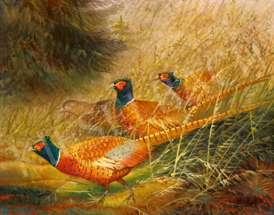  Csergezán, Pál - Pheasants | 74. Spring auction auction / 196 Lot