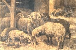 Bálint, Árpád - Sheepfold, 1910  