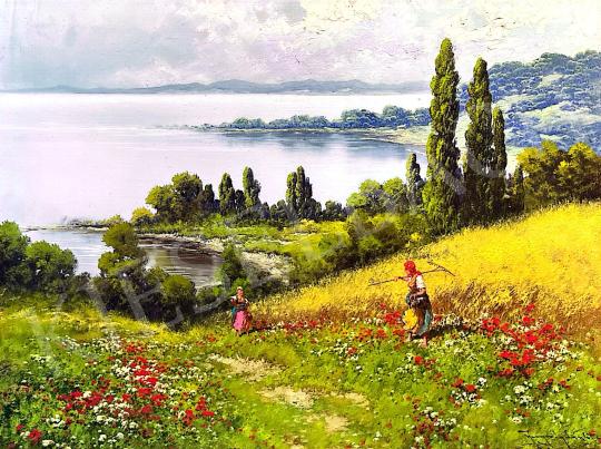 Neogrády, László - Poppy hillside (Balaton panorama) painting