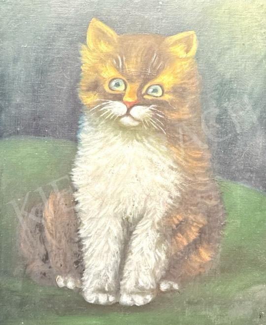 For sale Unknown painter - Kitty from the front  's painting