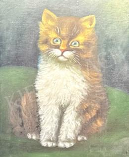 Unknown painter - Kitty from the front  