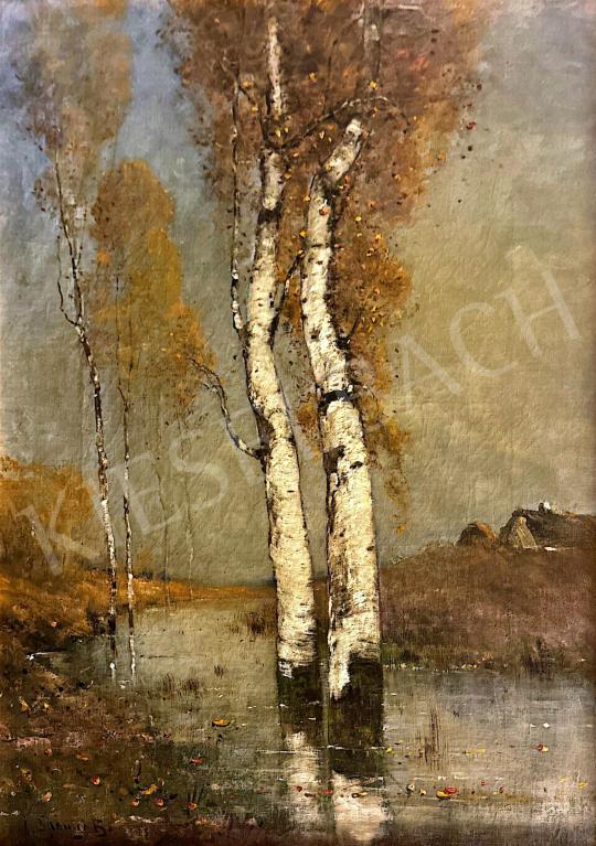 For sale K. Spányi, Béla - Marshy landscape 's painting